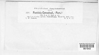 Image Associated With the Occurence
